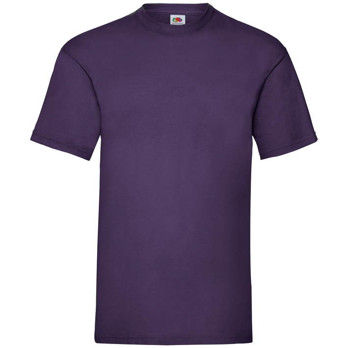 16.1036 F.O.L. - Valueweight T purple .350