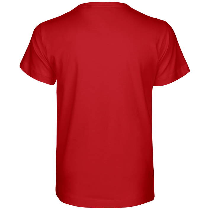 77.3001 Neutral - O 30001 red .004
